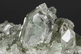 Anatase Crystals on Quartz with Chlorite Inclusions/Phantoms #176820-4